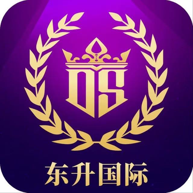 东升国际